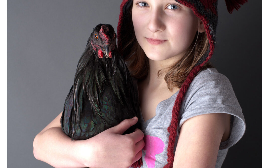 A Rooster named Hawk…Baraboo Family Photographer